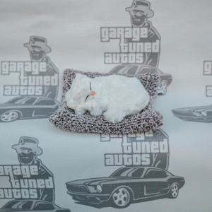 Dashboard Cat
